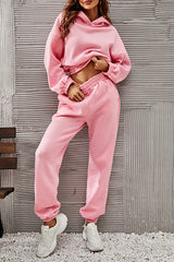 Casual Sportswear Solid Fold Hooded Collar Long Sleeve Two Pieces(5 Colors)