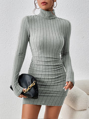 Solid Color Bodycon High Waisted High Neck Mini Dresses