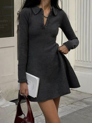 Lapel Waist Long Sleeve A-Line Mini Dress