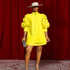 Stand Collar Fold Mini Dress