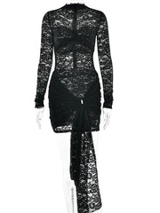 Black Long Sleeve Sheer Lace Mini Dress
