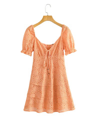 Short Sleeve Embroidered Mini Dress