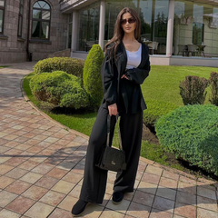 Hooded Solid Color Shirt and Pants Set