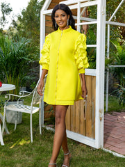 Stand Collar Fold Mini Dress