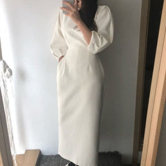 Elegant Ladies Office Dress