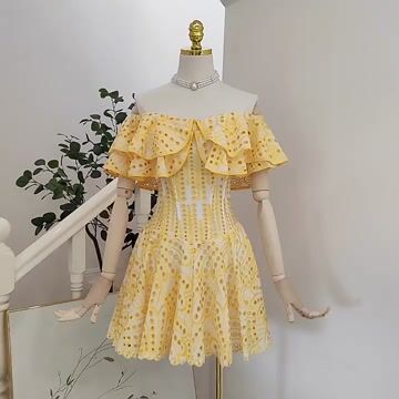 Double Ruffle Embroidery Hollow Out Mini Dress