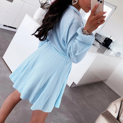 V Neck Long Sleeve Waist Lace Solid Color Mini Dress