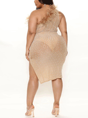 Feather Mesh Rhinestone Mini Dress