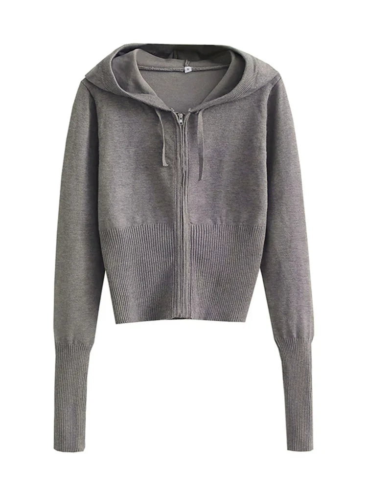 Knit Zipper Hooded Top And Pants Set