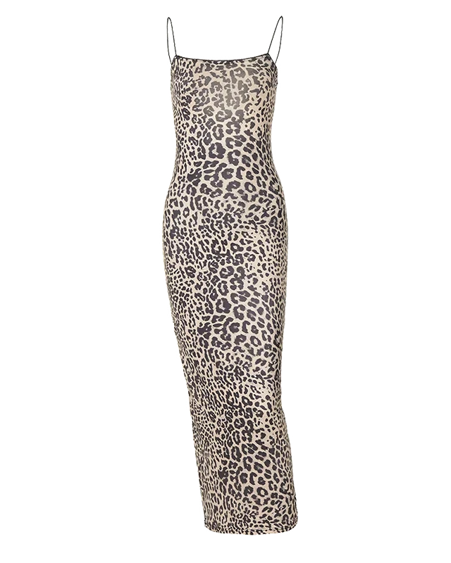 Gisella Leopard Pint Maxi Dress