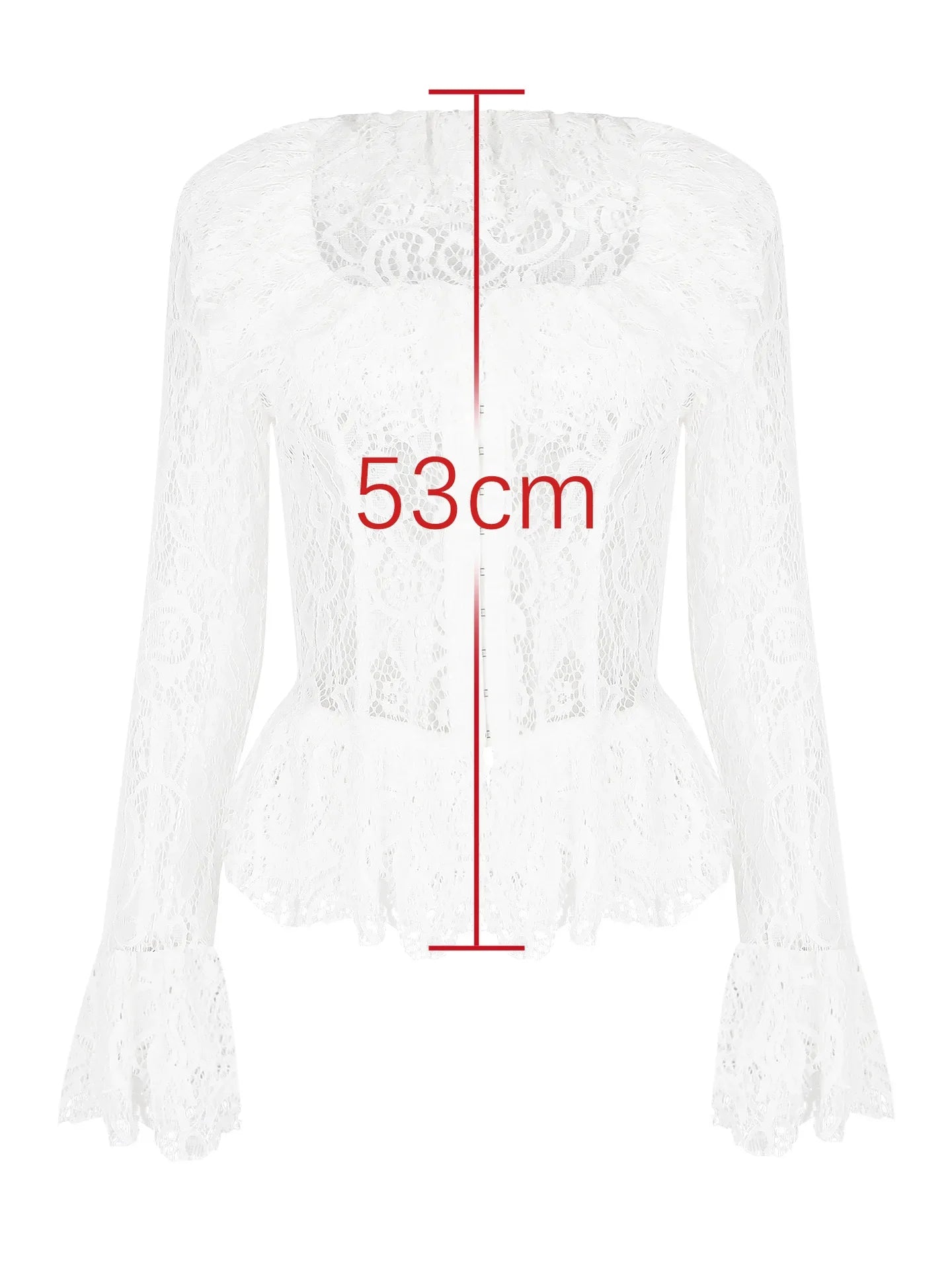 White Lace Frill Sheer Long Sleeve Corset Top