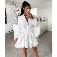 V Neck Long Sleeve Waist Lace Solid Color Mini Dress