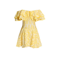 Double Ruffle Embroidery Hollow Out Mini Dress