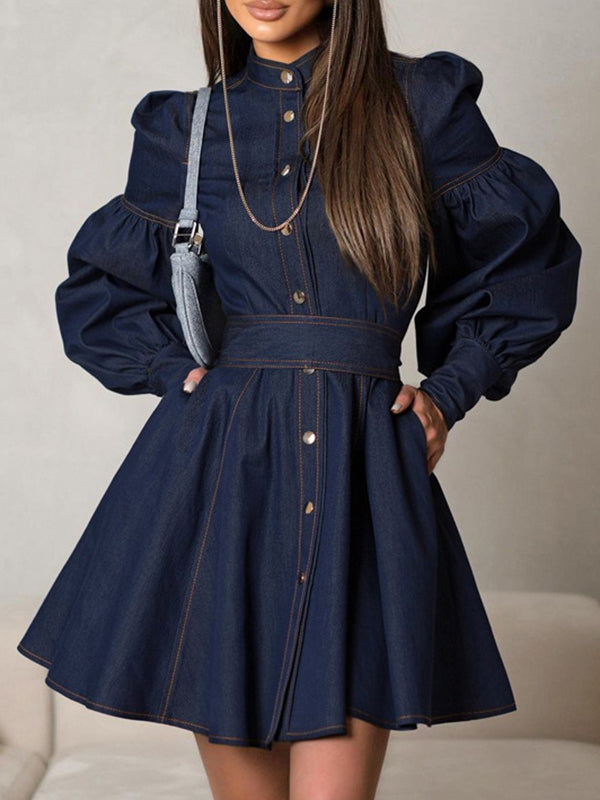 Buttoned Pleated Split-Joint Tied Waist A-Line Long Sleeves Mock Neck Mini Dresses