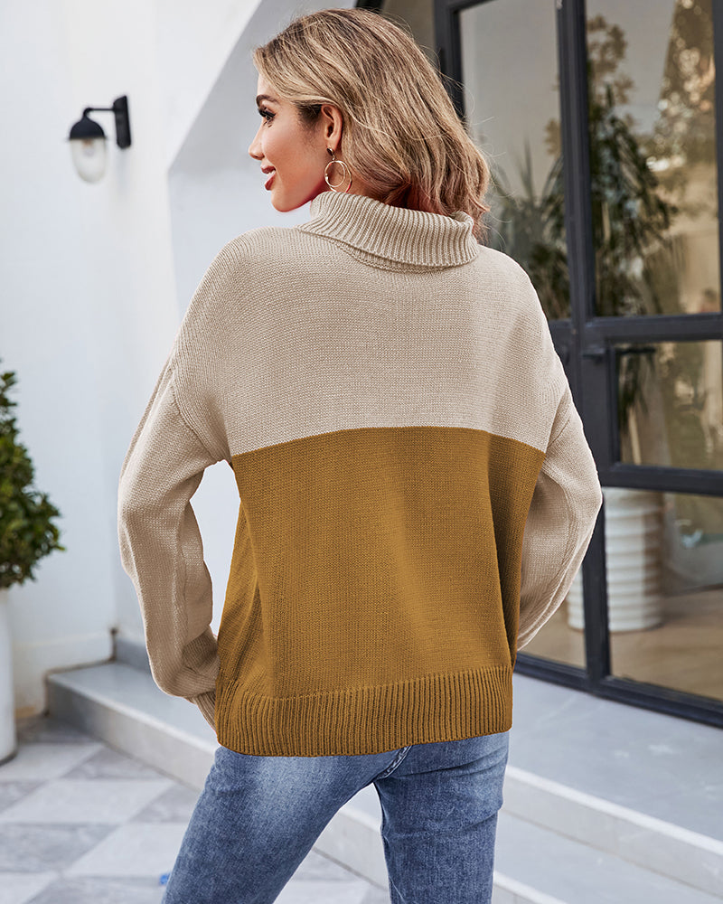 Contrast Color Turtleneck Sweater