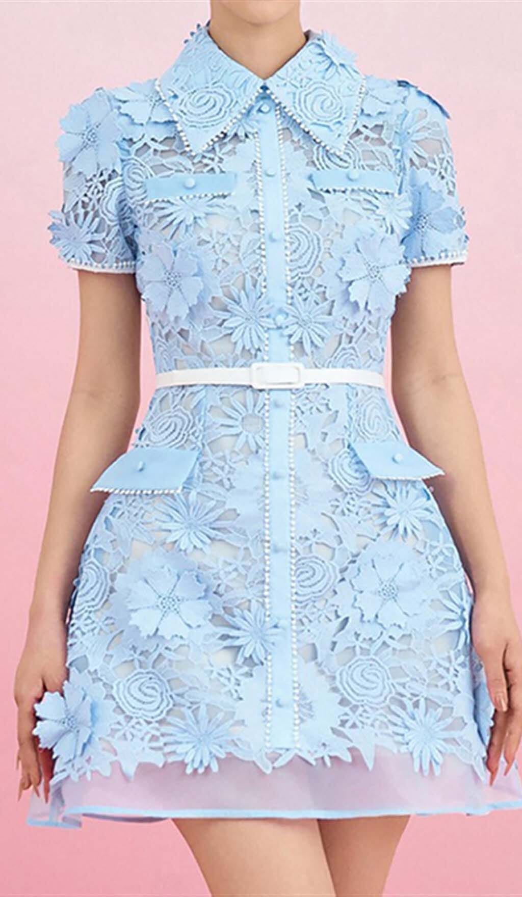 A-LINE FLORAL EMBROIDERY MINI DRESS IN BLUE