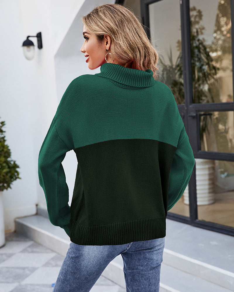 Contrast Color Turtleneck Sweater