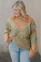 Multicolor Color Mixed Fringe Pullover Plus Size Sweater